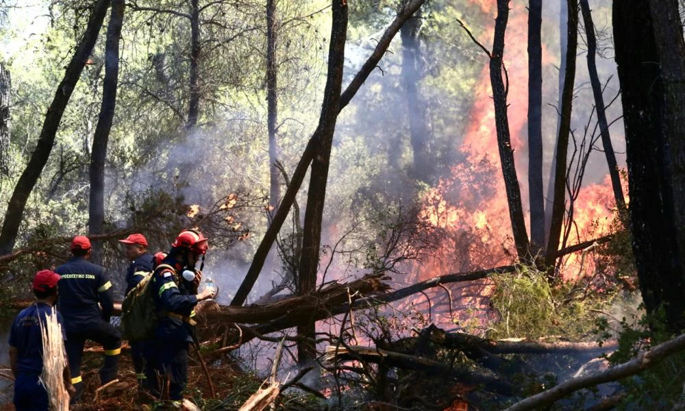 Φωτιά στο Σοφικό: Καλύτερη η εικόνα - Προβλέπεται ολονύχτια μάχη με τα πύρινα μέτωπα (βίντεο)